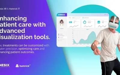 Collaboration Powered by Kinesix VR: Case Study with Hattrick IT