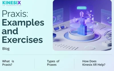 Types of Praxis: Examples and Exercises