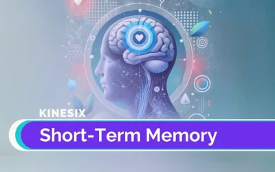 Short-Term Memory: Key in Post-Stroke Recovery