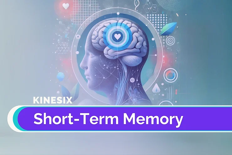 Rehabilitation 8 Short-Term Memory: Key in Post-Stroke Recovery