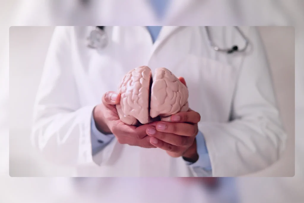 Mixed Reality: A Revolutionary Advancement in Modern Healthcare 1 Médico con bata blanca sosteniendo un modelo anatómico de cerebro humano en ambas manos.