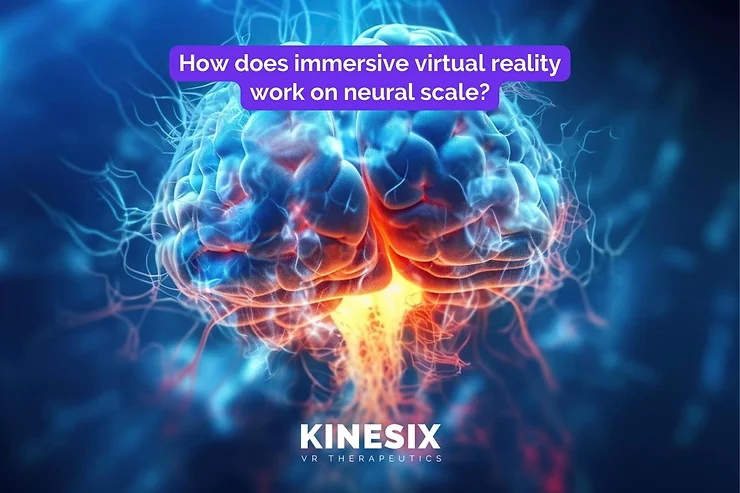 Rehabilitation 21 How does immersive virtual reality work on neural scale?